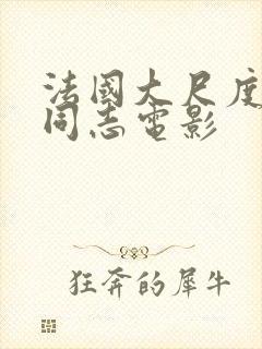 法国大尺度男男同志电影