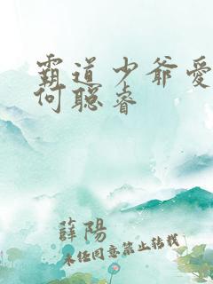 霸道少爷爱上我何聪睿