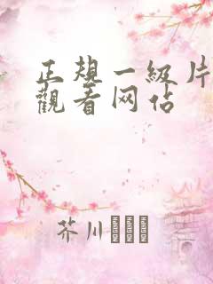 正规一级片免费观看网站