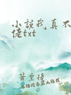 小说我真不是大佬txt