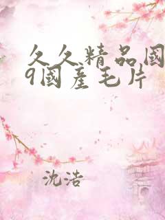 久久精品国产99国产毛片