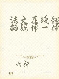 法文在线翻译器拍照扫一扫