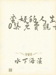 蛮好的人生第20集免费观看