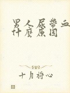 男人尿带血丝是什么原因