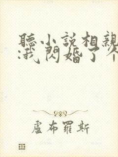 听小说相亲当天:我闪婚了个千亿富翁