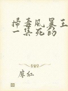 扫毒风暴王辉哪一集死的