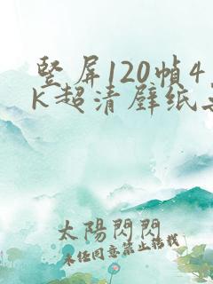 竖屏120帧4k超清壁纸无水印