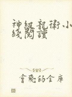 神级龙卫小说在线阅读