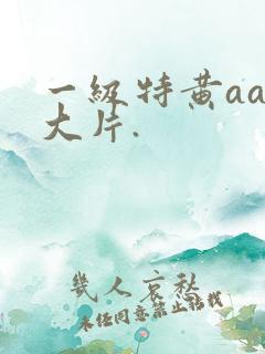 一级特黄aaa大片.