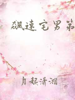 飙速宅男第四季