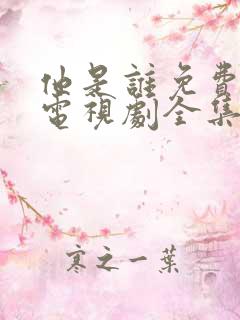 他是谁免费观看电视剧全集在