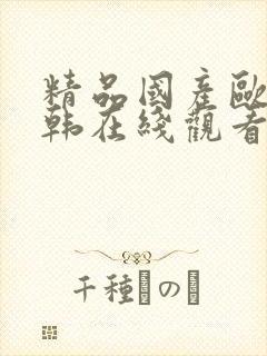 精品国产欧美日韩在线观看