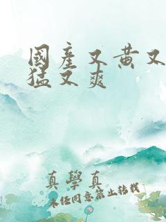 国产又黄又粗又猛又爽