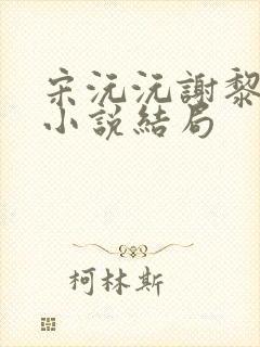 宋沅沅谢黎江衍小说结局