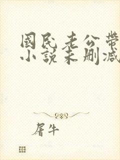 国民老公带回家小说未删减