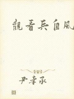 观看兵自风中来