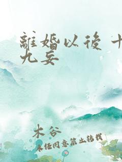 离婚以后 十言九妄