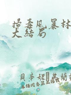 扫毒风暴林强峰大结局