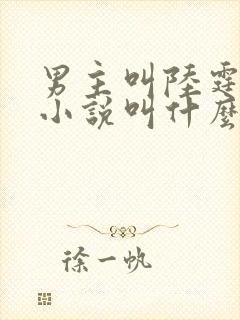 男主叫陆霆琛的小说叫什么