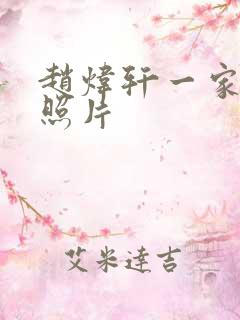 赵炜轩一家三口照片