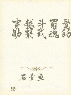 穿越斗罗觉醒辅助系武魂的小说