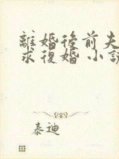 离婚后前夫哭着求复婚 小说完整