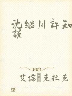 沈继川许知夏小说