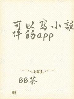 可以写小说的软件的app