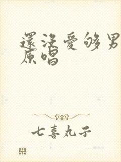 还没爱够男声版原唱