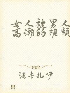 女人被男人插到高潮的视频