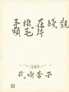 手机在线观看视频毛片