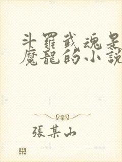 斗罗武魂是九头魔龙的小说