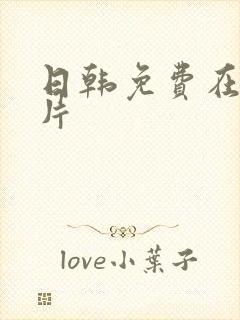 日韩免费在线看片