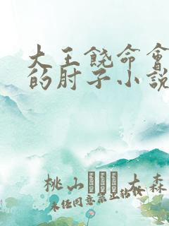 大王饶命会说话的肘子小说完全版