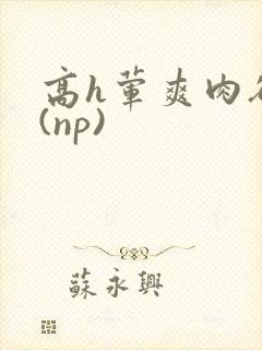 高h荤爽肉欲文(np)