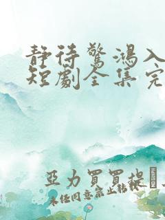 静待惊鸿入翁慌短剧全集完整版