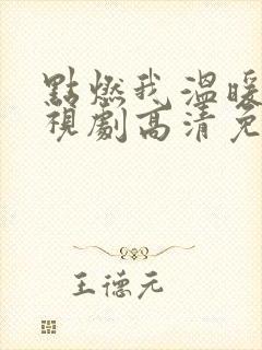 点燃我温暖你电视剧高清免费