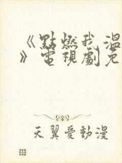 《点燃我温暖你》电视剧免费观看16集