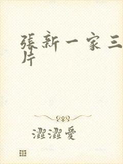 张新一家三口照片