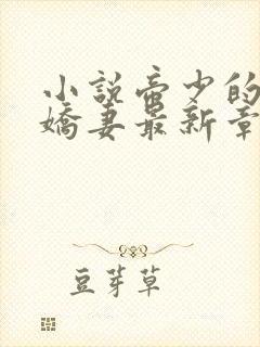 小说帝少的独宠娇妻最新章节