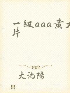 一级aaa黄大片