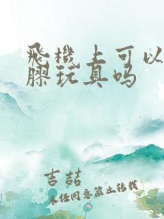 飞机上可以带橡胶玩具吗