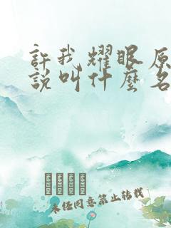 许我耀眼原著小说叫什么名字