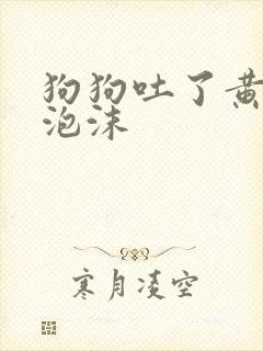 狗狗吐了黄水带泡沫