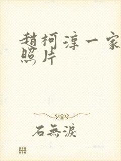 赵柯淳一家三口照片