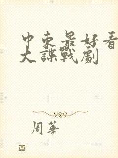 中东最好看的十大谍战剧