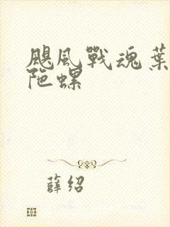 飓风战魂叶枫的陀螺