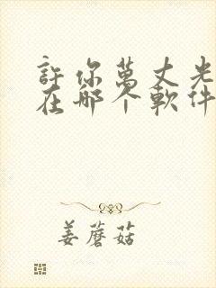 许你万丈光芒好在哪个软件免费阅读