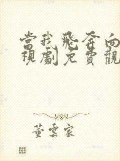 当我飞奔向你电视剧免费观看番外