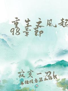 重生之风起1998章节